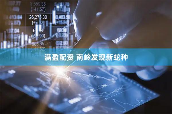 满盈配资 南岭发现新蛇种